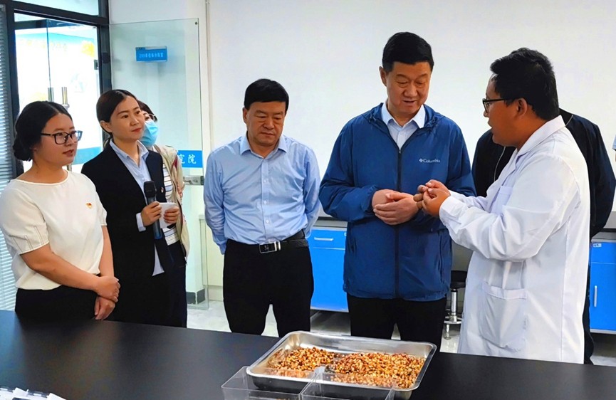 甘肅省地方金融監(jiān)管局、甘肅證監(jiān)局領(lǐng)導(dǎo)蒞臨敦煌種業(yè)調(diào)研指導(dǎo)