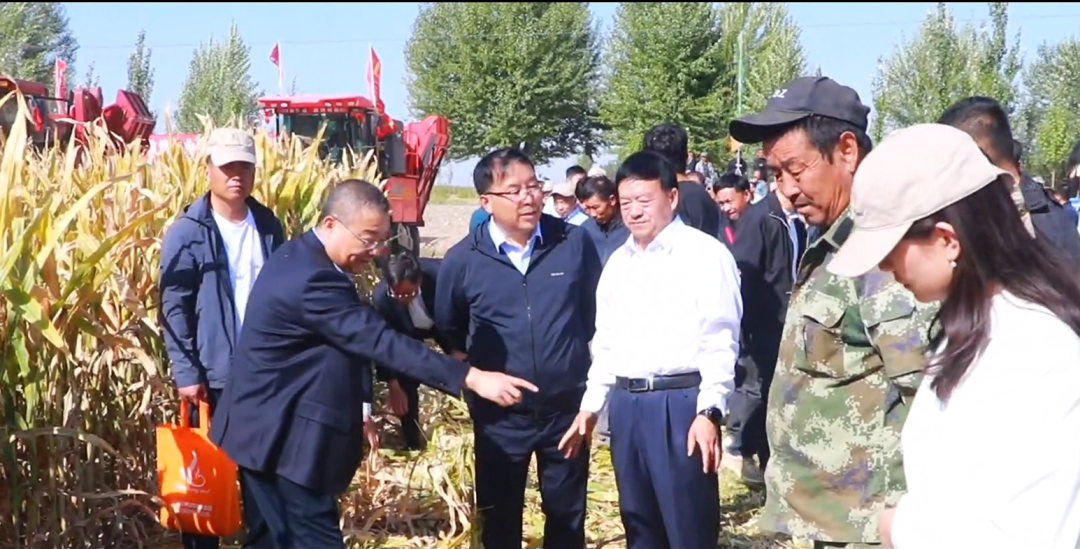 推進制種玉米機械采收 給敦煌種業(yè)振興插上科技的翅膀 —— 敦煌種業(yè)農業(yè)服務有限公司隆重開業(yè) 召開機械化采收演示會